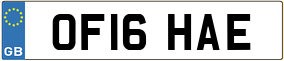 Trailer License Plate